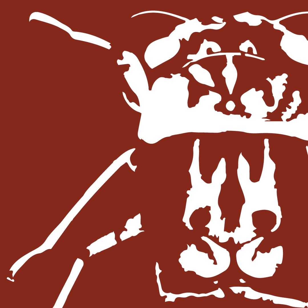 layer-demo-01-04